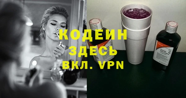 индика Новодвинск