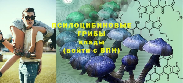 мдпв Алзамай